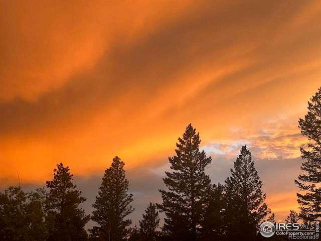 62 Spokane Court, Red Feather Lakes, CO 80545