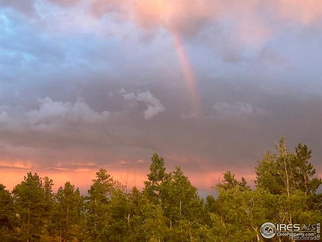 62 Spokane Court, Red Feather Lakes, CO 80545