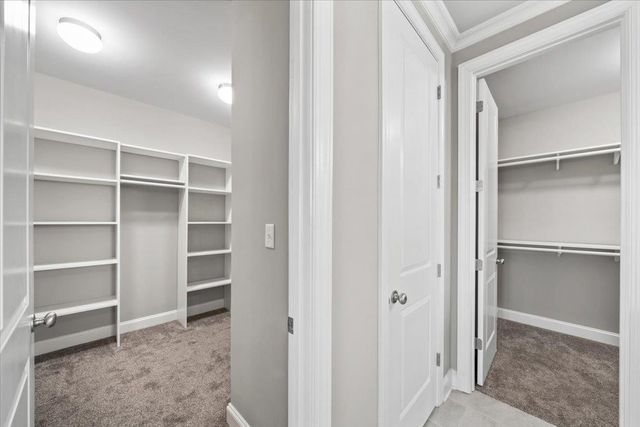 524 TENDER OAKS CV, Collierville, TN 38017