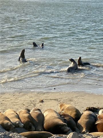 4344 Tradewinds Drive, Oxnard, CA 93035