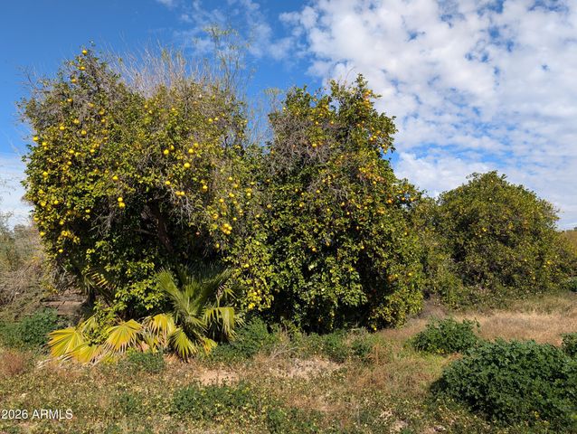 12630 E Vallejo Street -, Chandler, AZ 85249