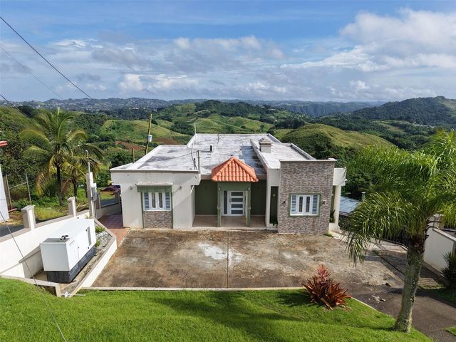 PR 152 KM 1.7 QUEBRADA GRANDE WARD, Barranquitas, PR 00794