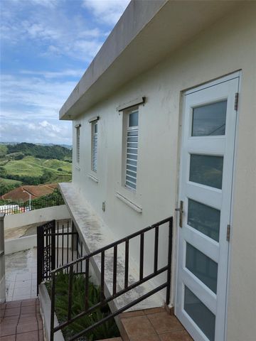 PR 152 KM 1.7 QUEBRADA GRANDE WARD, Barranquitas, PR 00794