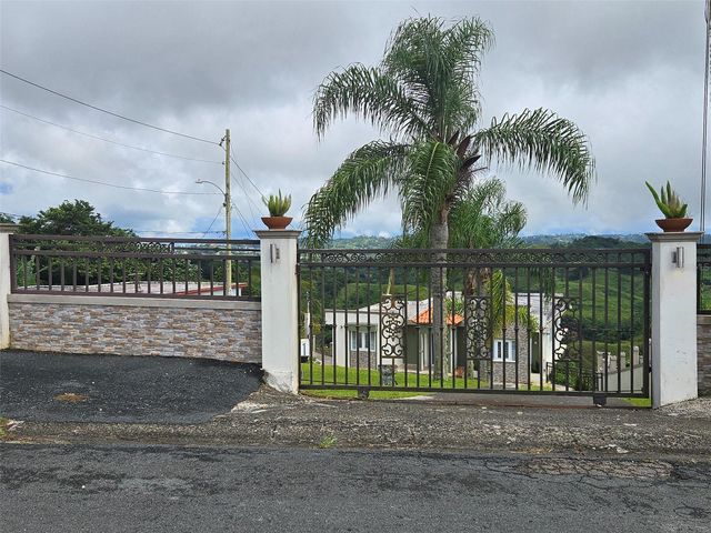 PR 152 KM 1.7 QUEBRADA GRANDE WARD, Barranquitas, PR 00794