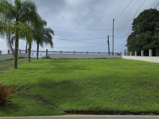 PR 152 KM 1.7 QUEBRADA GRANDE WARD, Barranquitas, PR 00794