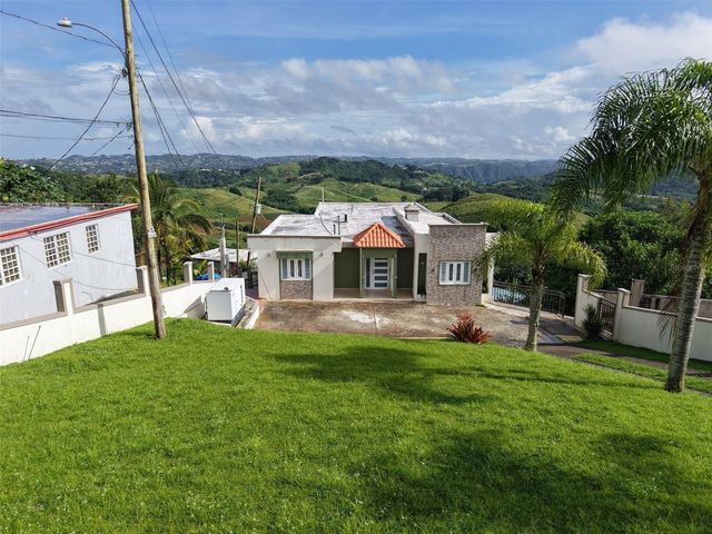 PR 152 KM 1.7 QUEBRADA GRANDE WARD, Barranquitas, PR 00794