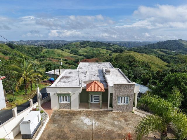 PR 152 KM 1.7 QUEBRADA GRANDE WARD, Barranquitas, PR 00794