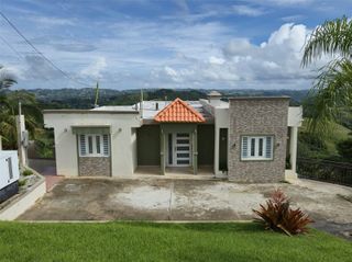 PR 152 KM 1.7 QUEBRADA GRANDE WARD, Barranquitas, PR 00794