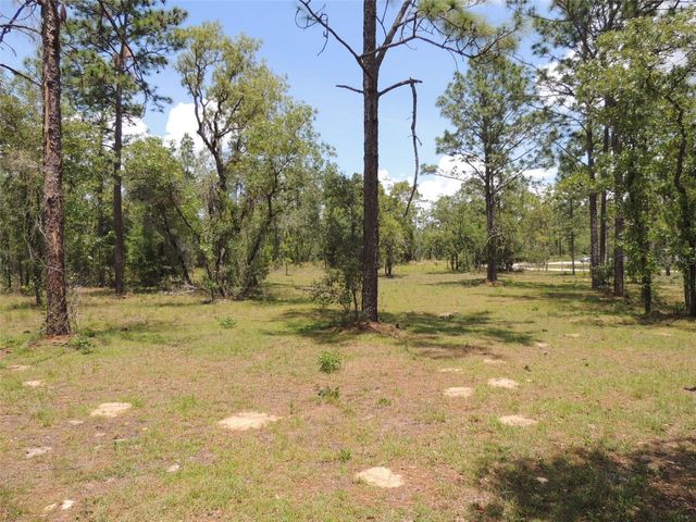 250 NE 131ST AVENUE, Williston, FL 32696
