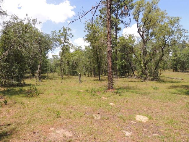 250 NE 131ST AVENUE, Williston, FL 32696