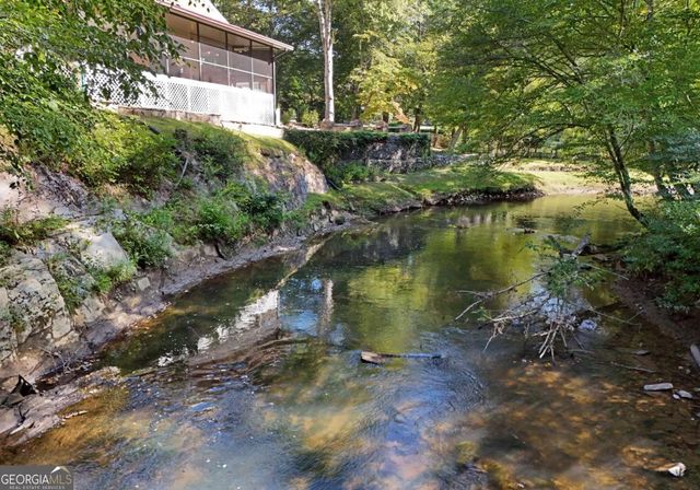 401 Mountain Rivers Road, Mineral Bluff, GA 30559