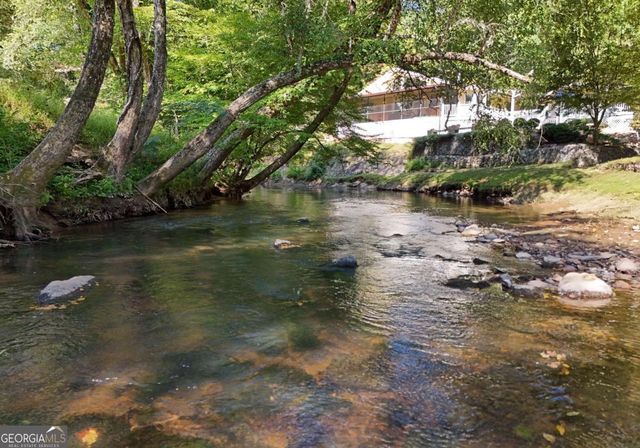 401 Mountain Rivers Road, Mineral Bluff, GA 30559