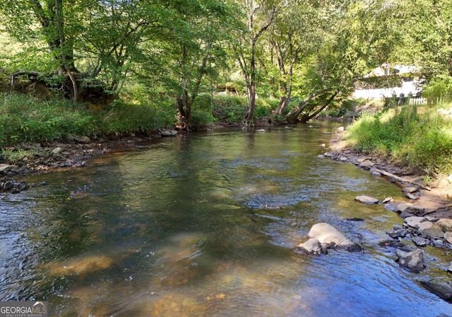 401 Mountain Rivers Road, Mineral Bluff, GA 30559