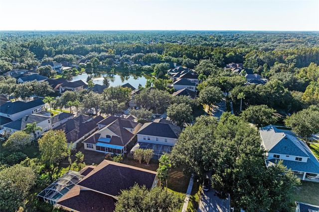 17823 ARBOR CREEK DRIVE, Tampa, FL 33647