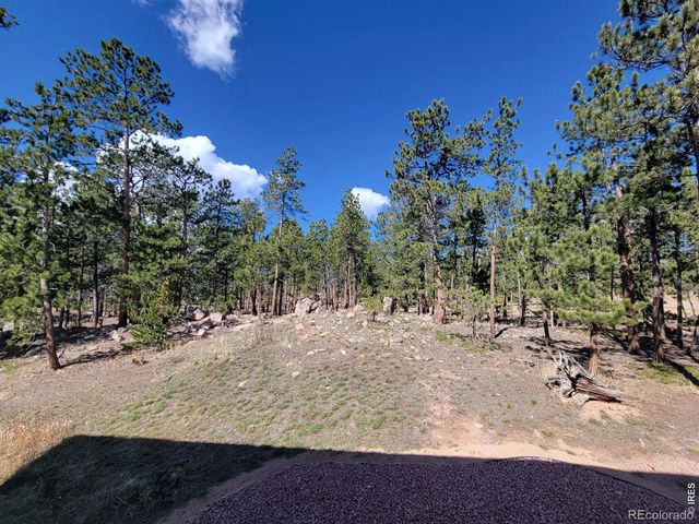 2225 N County Road 73c, Red Feather Lakes, CO 80545
