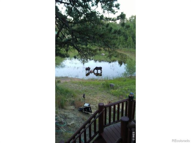 2225 N County Road 73c, Red Feather Lakes, CO 80545