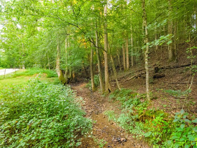 5251 Lewisburg Hwy, Pulaski, TN 38478
