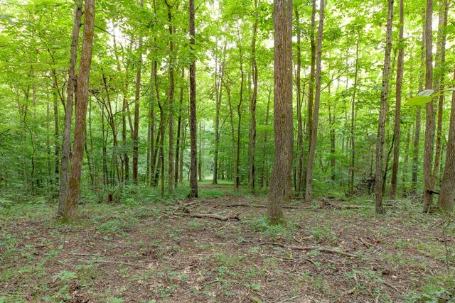 5251 Lewisburg Hwy, Pulaski, TN 38478