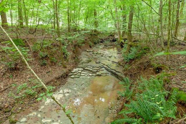 5251 Lewisburg Hwy, Pulaski, TN 38478