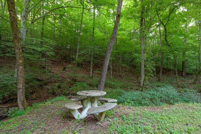 5251 Lewisburg Hwy, Pulaski, TN 38478