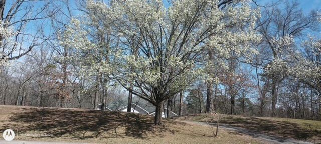 3322 QUAIL LN, Benton, AR 72019