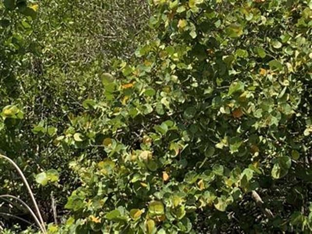 0 S Ocean Drive, Fort Pierce, FL 34949