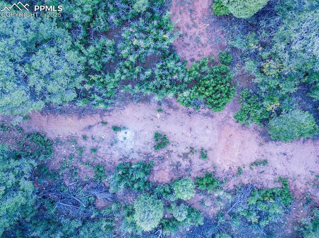 3135 Angel Terrace, Colorado Springs, CO 80904