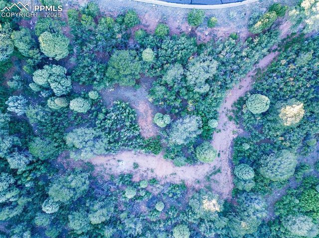 3135 Angel Terrace, Colorado Springs, CO 80904