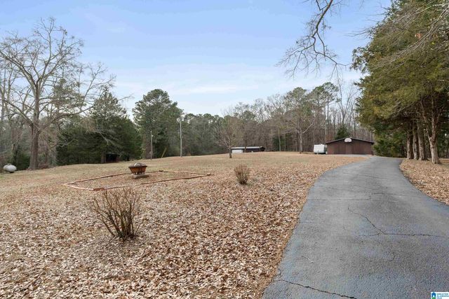 4175 LOGAN MARTIN DAM ROAD, Cropwell, AL 35054