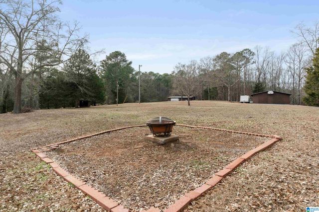 4175 LOGAN MARTIN DAM ROAD, Cropwell, AL 35054