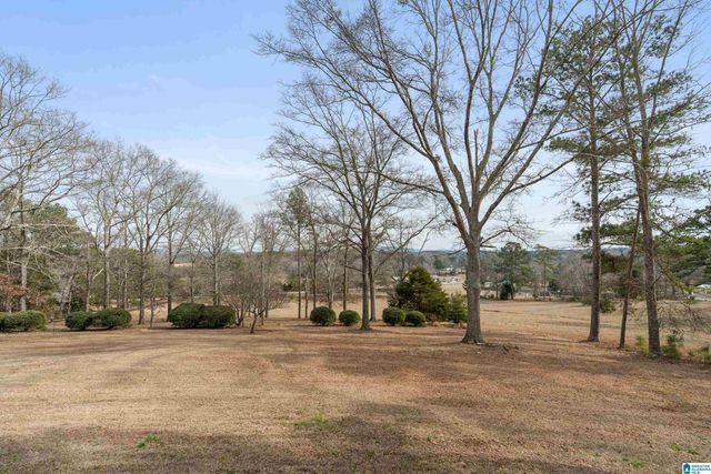 4175 LOGAN MARTIN DAM ROAD, Cropwell, AL 35054