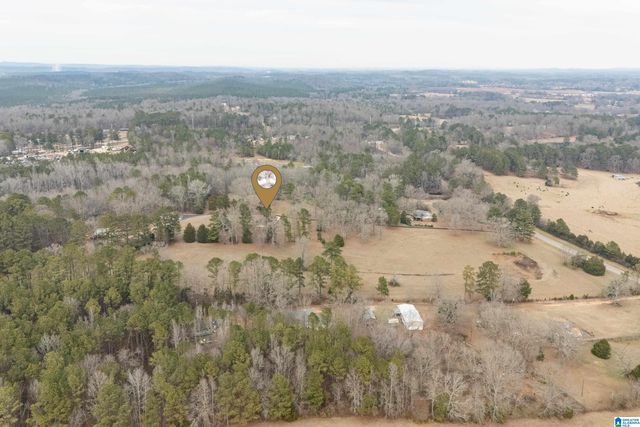 4175 LOGAN MARTIN DAM ROAD, Cropwell, AL 35054