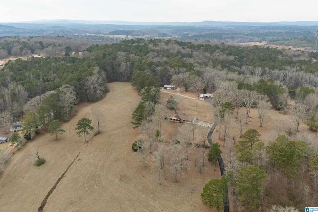 4175 LOGAN MARTIN DAM ROAD, Cropwell, AL 35054