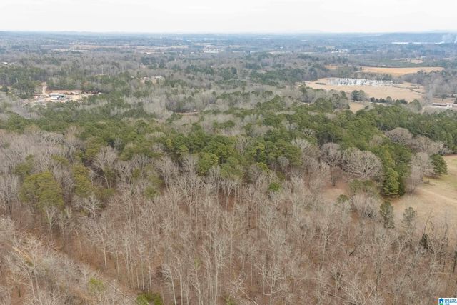 4175 LOGAN MARTIN DAM ROAD, Cropwell, AL 35054