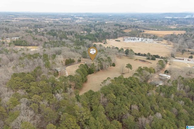 4175 LOGAN MARTIN DAM ROAD, Cropwell, AL 35054