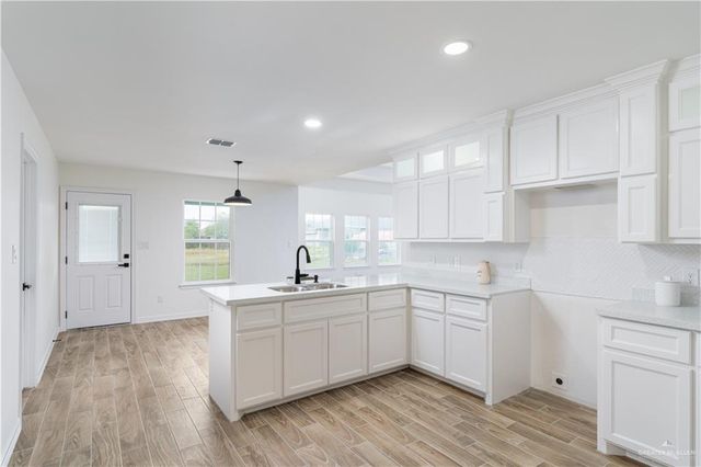 3602 Ida Drive, Palmview, TX 78572