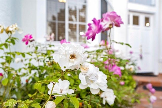 30786 La Mer, Laguna Niguel, CA 92677