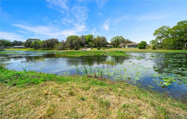 9923 E Saint Regis Court, Inverness, FL 34450