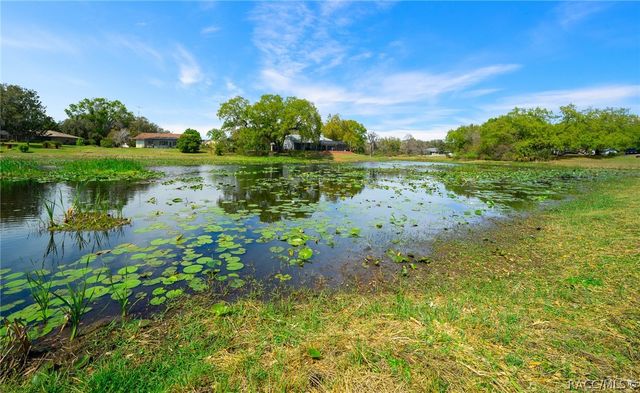 9923 E Saint Regis Court, Inverness, FL 34450