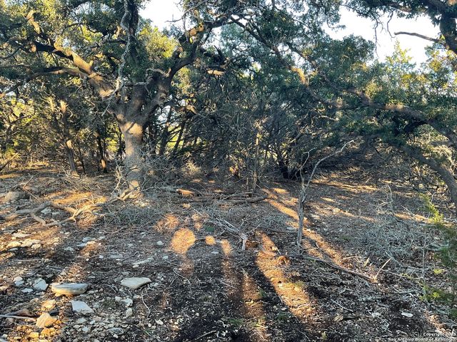 113 Champion Way, Spring Branch, TX 78070