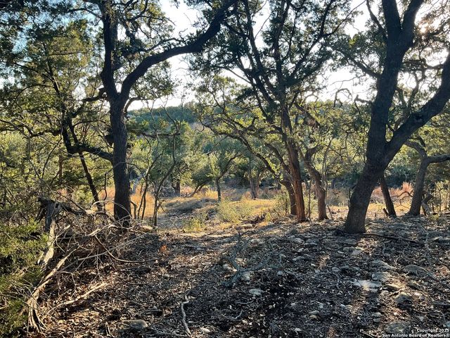 113 Champion Way, Spring Branch, TX 78070