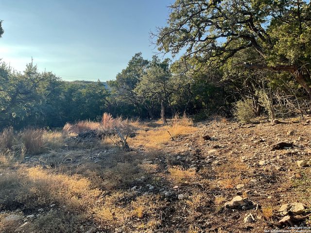 113 Champion Way, Spring Branch, TX 78070