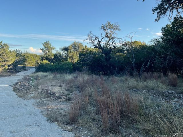 113 Champion Way, Spring Branch, TX 78070