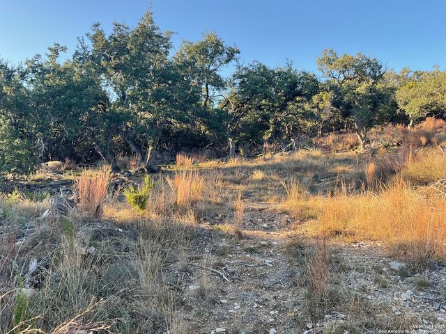 113 Champion Way, Spring Branch, TX 78070