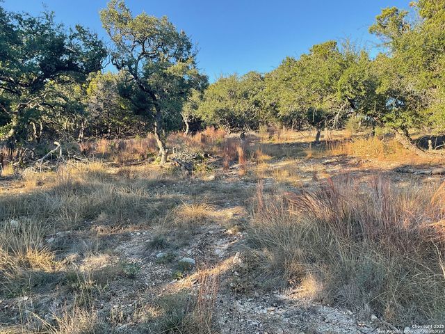 113 Champion Way, Spring Branch, TX 78070