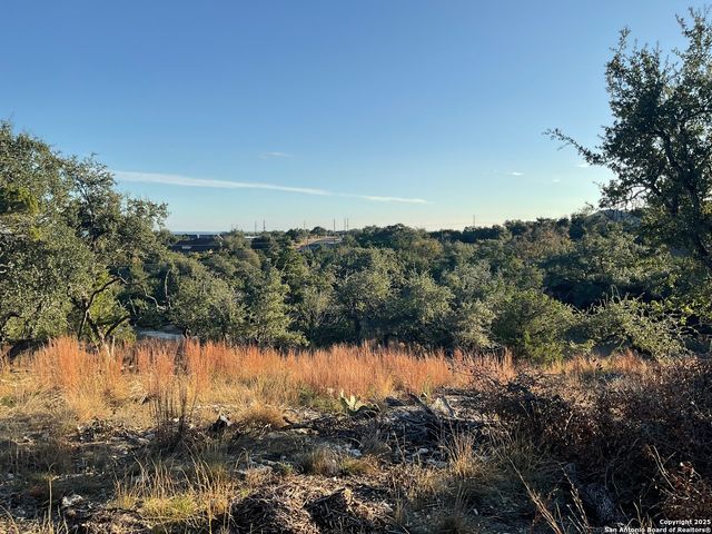 113 Champion Way, Spring Branch, TX 78070