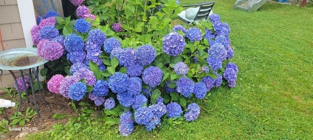 125 Stackhouse Street, Dartmouth, MA 02747