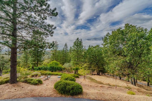 10285 Ponderosa Way, Pine Grove, CA 95665