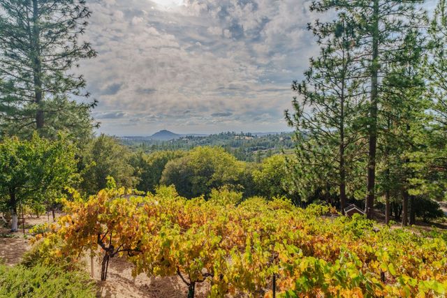 10285 Ponderosa Way, Pine Grove, CA 95665