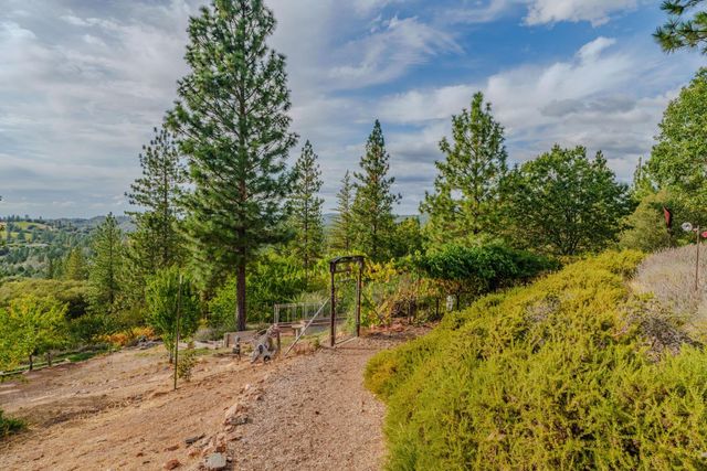 10285 Ponderosa Way, Pine Grove, CA 95665